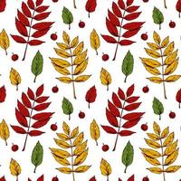 Herbst nahtlose Muster mit Eberesche Blätter und Beeren auf weißem Hintergrund. Hand gezeichnete farbige Skizzenvektorillustration. Vintage Strichzeichnungen vektor