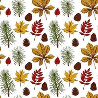 Herbst nahtlose Muster mit Zapfen, Blättern, Weihnachtsbaum Zweige isoliert auf weißem Hintergrund. Hand gezeichnete farbige Skizzenvektorillustration. Vintage Strichzeichnungen vektor