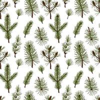 Handgezeichnete Wald und Weihnachten nahtlose Muster mit Tannen-, Kiefer- und Lärchenzweigen isoliert auf weißem Hintergrund. Vektorillustration im farbigen Skizzenstil vektor