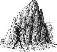 mound eller termitaria, av termit eller termitoidae, årgång gravyr vektor
