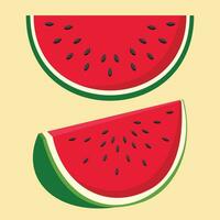 Wassermelone Palästina Symbol zum friedlich Land . Grün, Weiss, Rot, schwarz. frisch Wassermelone Obst vektor
