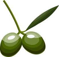 tecknad serie av två grön oliver med grön blad på en gren vektor illustration på vit bakgrund.