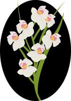 Vektor Illustration von Weiß Cymbidium Orchidee Blumen mit Grün Blätter im schwarz Kreis auf Weiß Hintergrund.