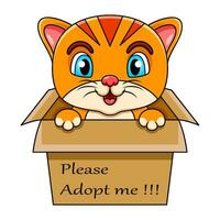 süß Katze Karikatur im Geschenk Geschenk Box mit Text adoptieren mich Bitte vektor