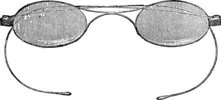 glasögon- grenar har krok, årgång gravyr. vektor