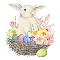 Ostern Hase mit Blumen- Strauß, bunt Eier im Nest. Aquarell Rosa Tulpe, Gelb und Weiß Narzissen Strauß. Hand gezeichnet Frühling Illustration. dekorativ Design Elemente. vektor