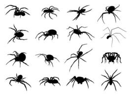 uppsättning av silhuetter av skrämmande spindlar vektor