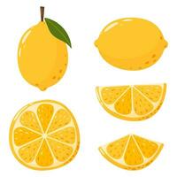 Zitrone Obst Sammlung im eben Hand gezeichnet Stil, Vektor Illustration Satz. Zitrone Scheiben und ganze Frucht, Grafik Design Elemente. Karikatur Vitamin Gelb Saft Zutaten.