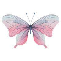 fjäril är rosa, blå, lila, flygande, delikat med vingar. hand dragen vattenfärg illustration. isolerat element på en vit bakgrund, för design. vektor eps