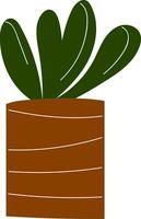 enkel vektor illustration av en växt med runda löv i en brun pott med vit Ränder vit bakgrund