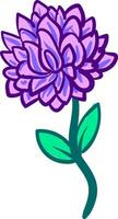 Aster Blume auf ein Dampf Illustration Farbe Vektor auf Weiß Hintergrund