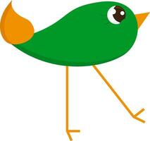 en små grön fågel med lång ben utseende söt vektor eller Färg illustration