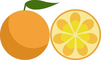 ein Bauernhof frisch Orange Obst zu Sein genossen durch jemand Vektor Farbe Zeichnung oder Illustration