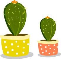 två kaktus växter med blommor i skön dekorerad kastruller för dekoration vektor Färg teckning eller illustration
