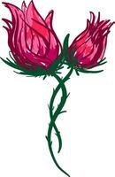 zwei rot Rose Vektor oder Farbe Illustration