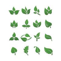 grüne Blätter Logo Pflanze Natur Öko Garten stilisierte Symbol Vektor botanische Sammlung