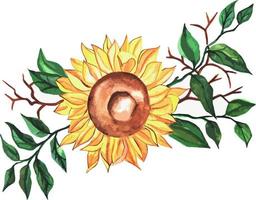 schöne, helle Aquarellsonnenblume mit grünen Zweigen, Blättern. handgemalte blumenillustration vektor