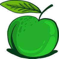 grön äpple, illustration, vektor på vit bakgrund