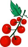 rot Beere auf ein Zweig, Illustration, Vektor auf Weiß Hintergrund