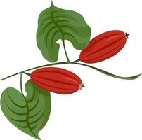 Clip Art von zwei rot Gurken mit zwei palmenartig Grün Blätter, Vektor oder Farbe Illustration