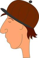 en brun randig hatt, vektor eller Färg illustration