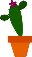 kaktus med blomma , vektor eller Färg illustration