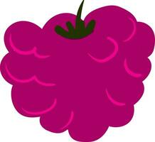 Himbeeren, Vektor oder Farbe Illustration.