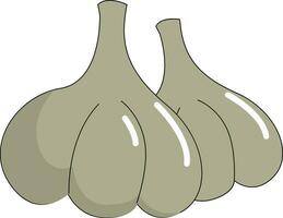 Knoblauch, Vektor oder Farbe Illustration.