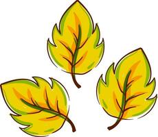 Clip Art von Gelb Herbst Blätter Vektor oder Farbe Illustration