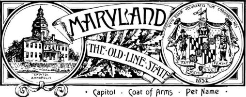 das Zustand Banner von Maryland das alt Linie Zustand Jahrgang Illustration vektor