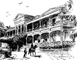 ein Krankenhaus im Honolulu Jahrgang Illustration. vektor
