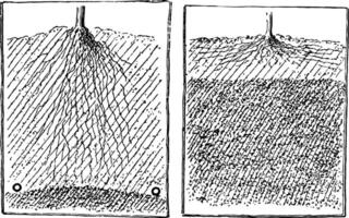 Wasser Tabelle Diagramm Jahrgang Illustration. vektor