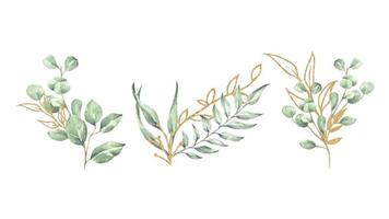 akvarell blommig illustration set. gröna och guldblad grenar samling.