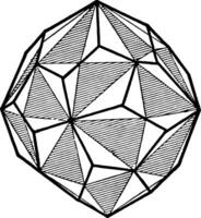 rätt räckte femsidig icositetrahedron, årgång illustration. vektor