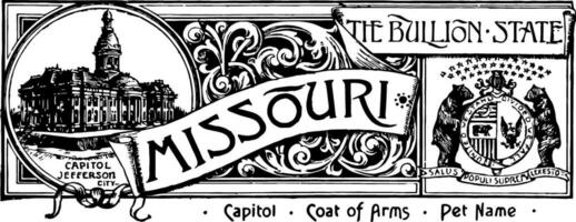 das Zustand Banner von Missouri das Goldbarren Zustand Jahrgang Illustration vektor