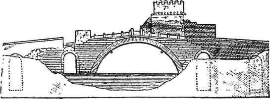 ponte lön bro, årgång illustration. vektor