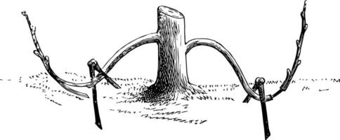 Methoden von Schichtung Jahrgang Illustration. vektor