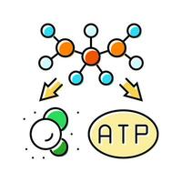 Katabolismus Biochemie Farbe Symbol Vektor Illustration