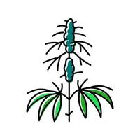 Cannabis Pflanze Kraut Farbe Symbol Vektor Illustration