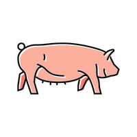 Yorkshire Schwein Rasse Farbe Symbol Vektor Illustration