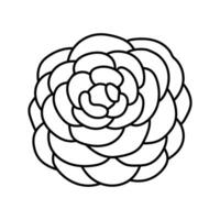 Kamelie Blume Frühling Linie Symbol Vektor Illustration