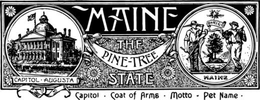 de stat baner av maine de tall träd stat årgång illustration vektor