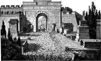 gata av gravar på Pompeji, mindre mått olika former, årgång gravyr. vektor
