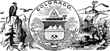 das offiziell Zustand Siegel von Colorado Jahrgang Illustration vektor