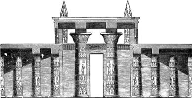 hall sektion av de bra tempel på, arkeologisk webbplats, årgång gravyr. vektor