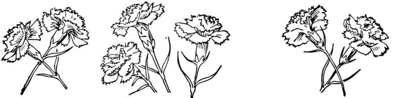 sju blommor, årgång illustration vektor