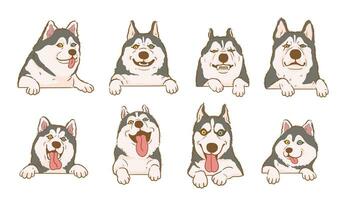 tecknad serie sibirisk hes hund med olika uttryck vektor