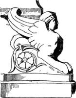 römisch Sphinx ist das Büste von ein Frau mit Flügel und das Körper von ein Löwe, Jahrgang Gravur. vektor