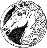 häst huvud har en modern tysk design, årgång gravyr. vektor