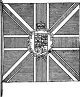 de flagga av de generalguvernör av de brittiskt imperium, årgång illustration vektor